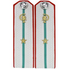 Медицинская служба ВМФ СССР. Младший офицерский состава  (без военно-медицинского образования), погоны обр. 1943 г.